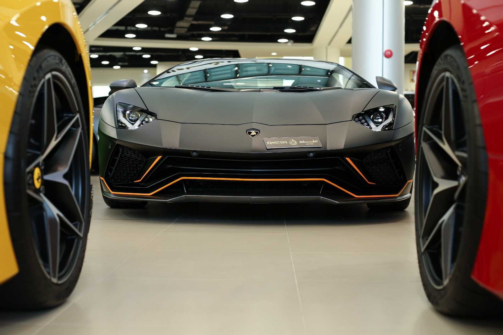 Lamborghini Matte grey-pic_3